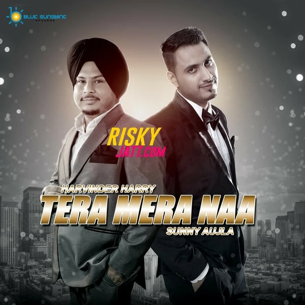 Tera Mera Naa Harvinder Harry mp3 song download, Tera Mera Naa Harvinder Harry full album mp3 song