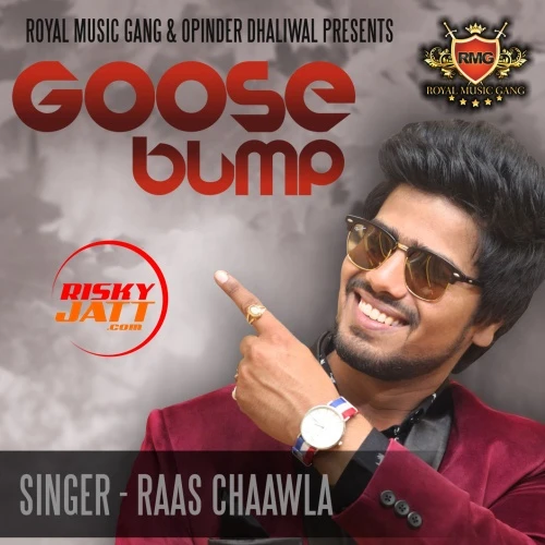 Goose Bump Raas Chaawla mp3 song download, Goose Bump Raas Chaawla full album mp3 song