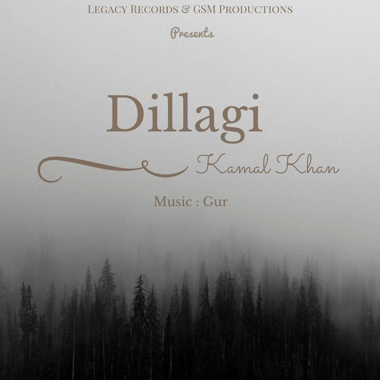 Dillagi Kamal Khan mp3 song download, Dillagi Kamal Khan full album mp3 song