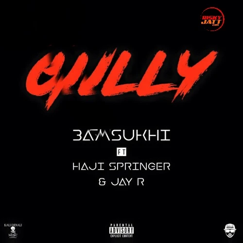 Gully Haji Springer, 3AM Sukhi, Jay R mp3 song download, Gully Haji Springer, 3AM Sukhi, Jay R full album mp3 song