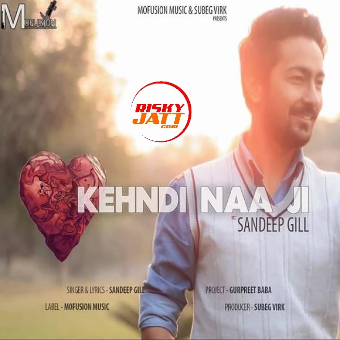 Kehndi Naa Ji Sandeep Gill mp3 song download, Kehndi Naa Ji Sandeep Gill full album mp3 song