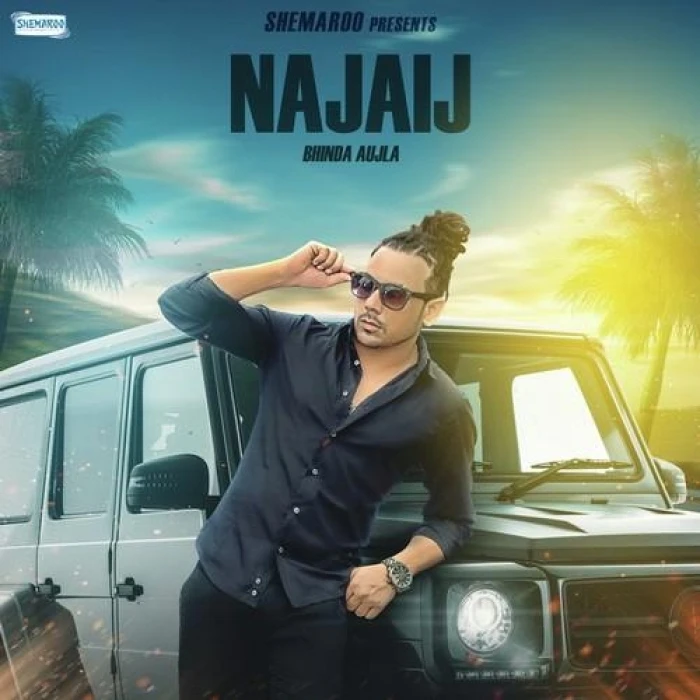 Najaij Bhinda Aujla mp3 song download, Najaij Bhinda Aujla full album mp3 song