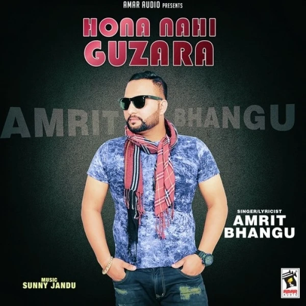Hona Nahi Guzara Amrit Bhangu mp3 song download, Hona Nahi Guzara Amrit Bhangu full album mp3 song