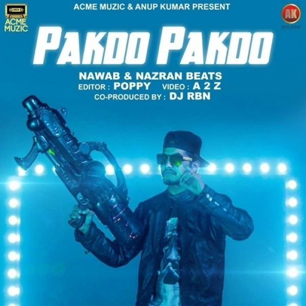 Pakdo Pakdo Nawab, Nazran Beats mp3 song download, Pakdo Pakdo Nawab, Nazran Beats full album mp3 song