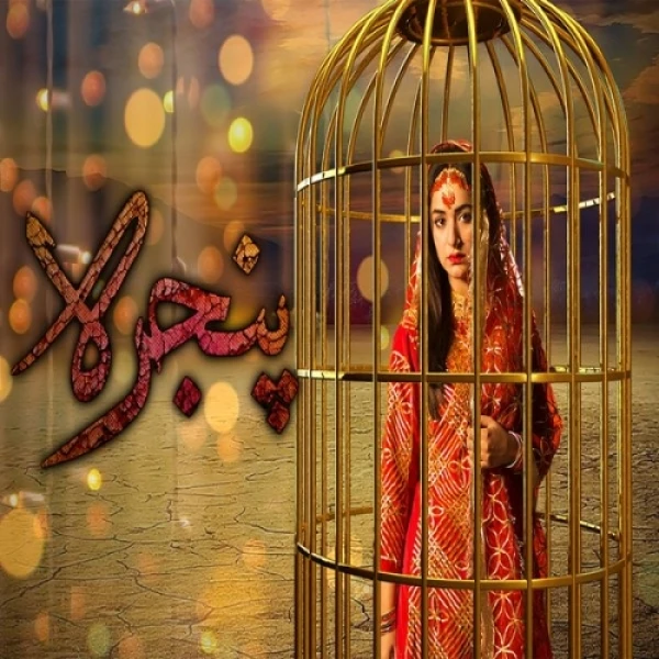 Pinjra Rahat Fateh Ali Khan, Noraan Laal mp3 song download, Pinjra Rahat Fateh Ali Khan, Noraan Laal full album mp3 song