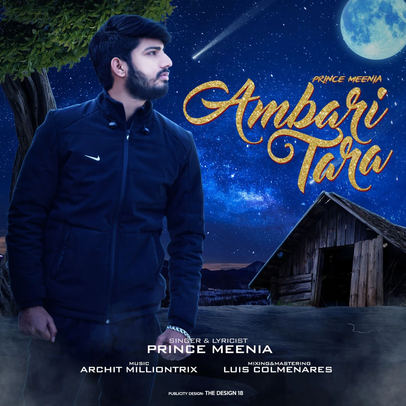 Ambari Tara Prince Meenia mp3 song download, Ambari Tara Prince Meenia full album mp3 song
