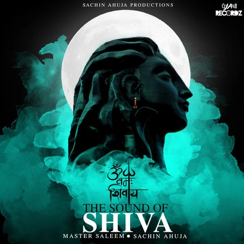 The Sound Of Shiva Master Saleem, Sachin Ahuja mp3 song download, The Sound Of Shiva Master Saleem, Sachin Ahuja full album mp3 song