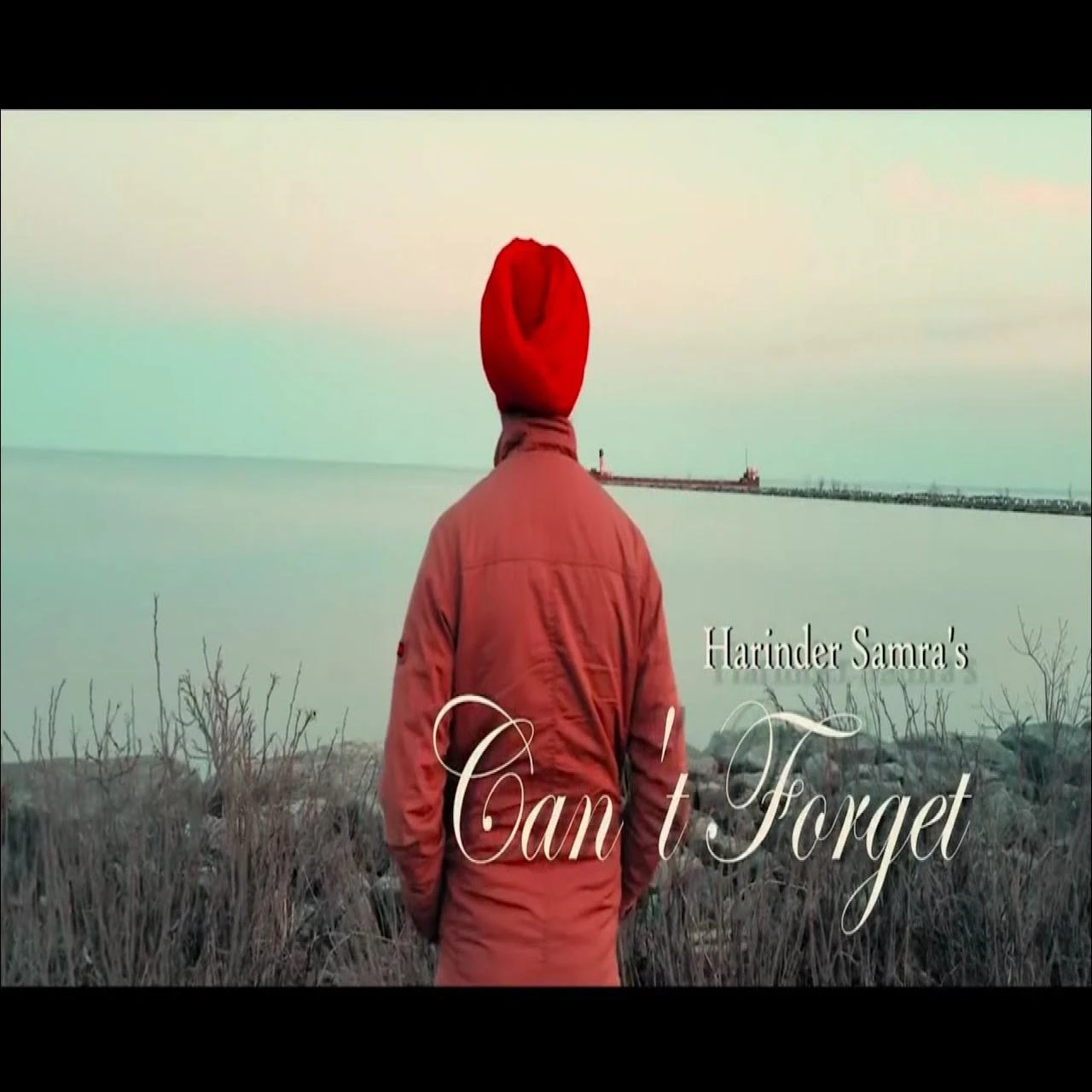 Cant Forget Harinder Samra mp3 song download, Cant Forget Harinder Samra full album mp3 song