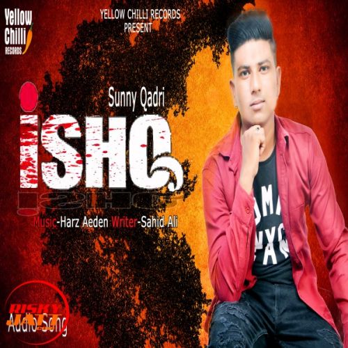 Ishq Sunny Qadri mp3 song download, Ishq Sunny Qadri full album mp3 song