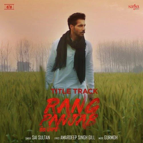 Rang Panjab Title Track Sai Sultan mp3 song download, Rang Panjab Title Track Sai Sultan full album mp3 song