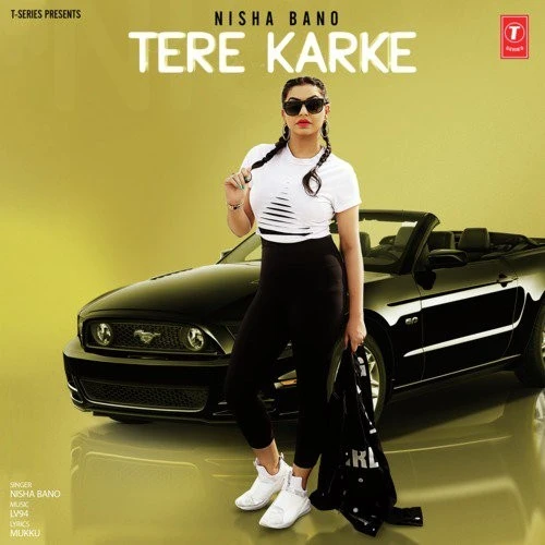 Tere Karke Nisha Bano mp3 song download, Tere Karke Nisha Bano full album mp3 song