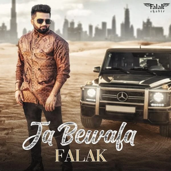 Ja Bewafa Falak mp3 song download, Ja Bewafa Falak full album mp3 song