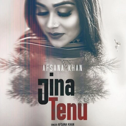 Jina Tenu Afsana Khan mp3 song download, Jina Tenu Afsana Khan full album mp3 song