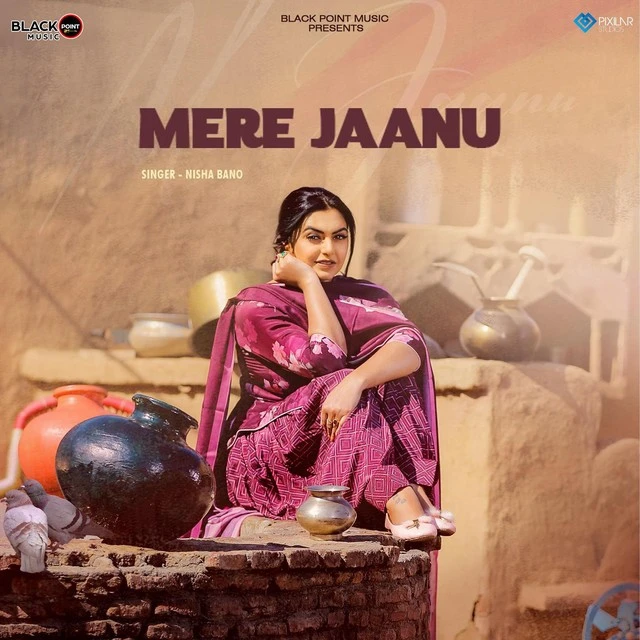 Mere Jaanu Nisha Bano mp3 song download, Mere Jaanu Nisha Bano full album mp3 song
