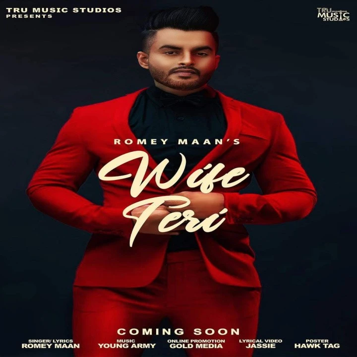 Wife Teri Romey Maan mp3 song download, Wife Teri Romey Maan full album mp3 song