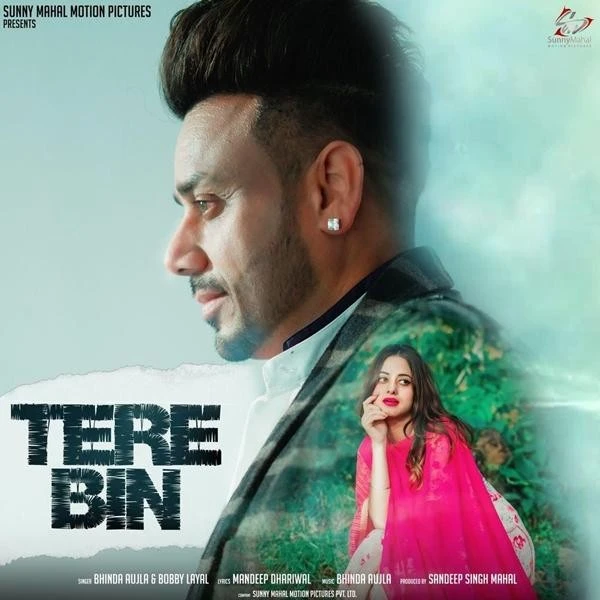 Tere Bin Bhinda Aujla mp3 song download, Tere Bin Bhinda Aujla full album mp3 song
