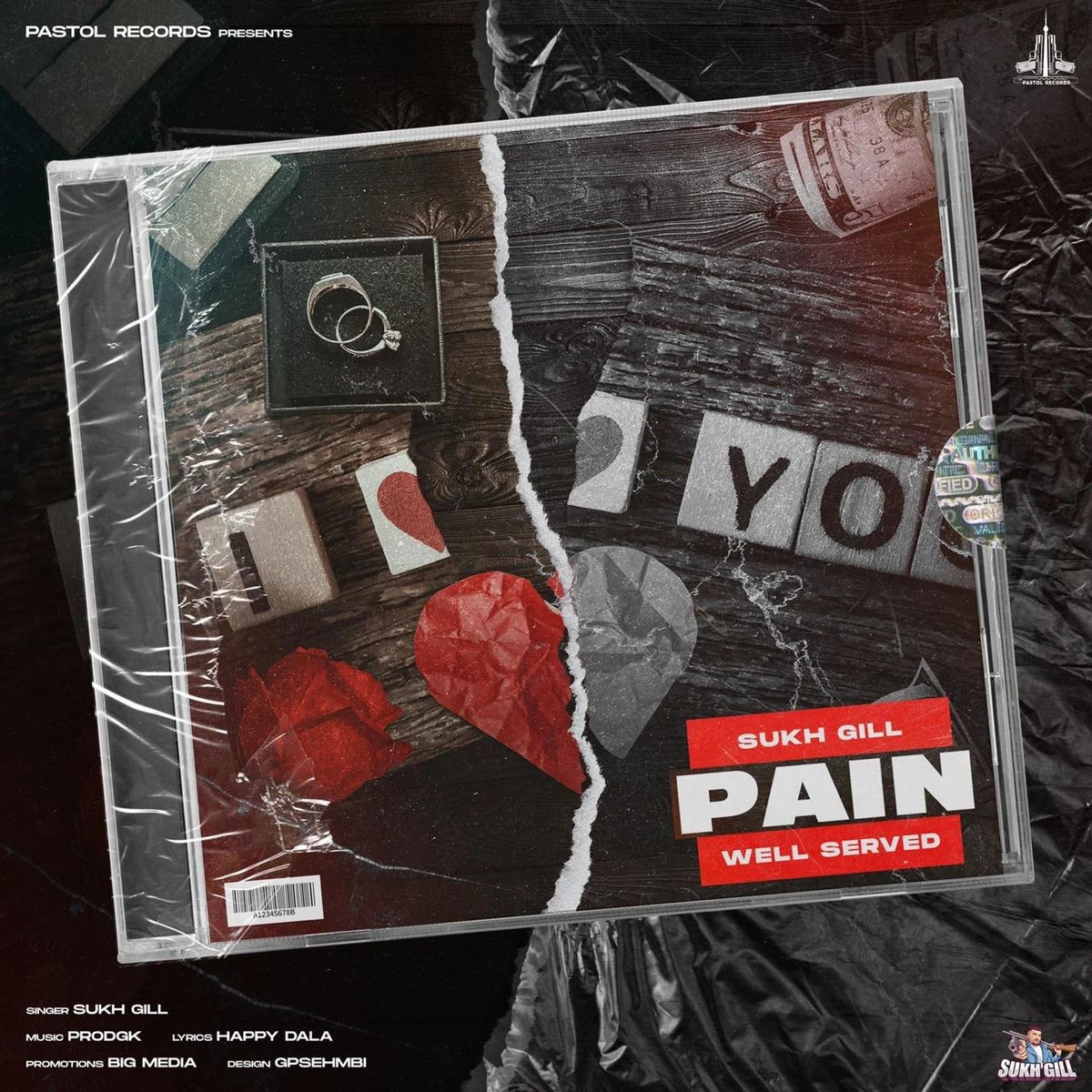Pain Sukh Gill mp3 song download, Pain Sukh Gill full album mp3 song