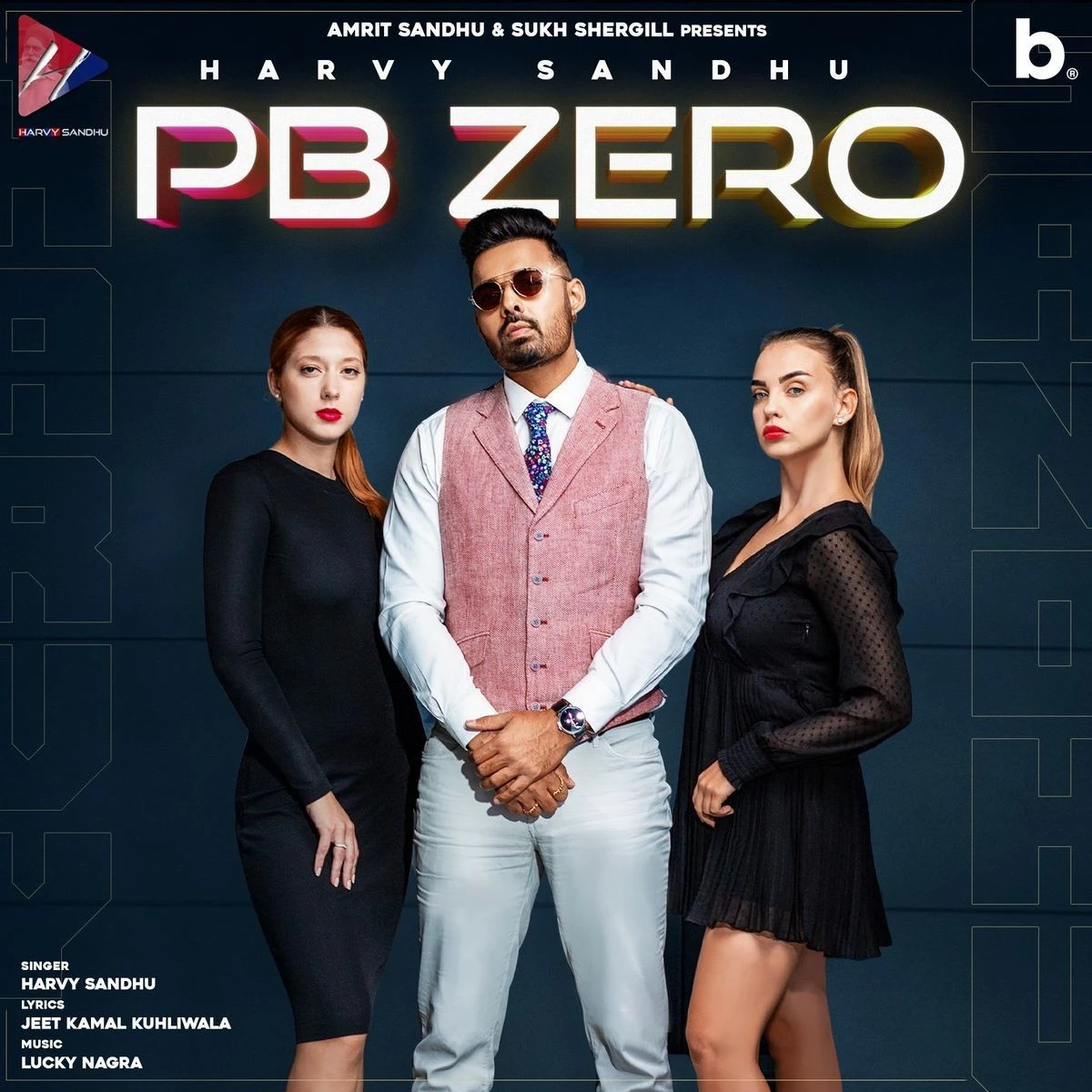 Pb Zero Harvy Sandhu mp3 song download, Pb Zero Harvy Sandhu full album mp3 song