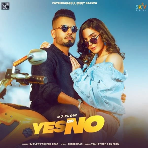Yes or No DJ Flow, Shree Brar mp3 song download, Yes or No DJ Flow, Shree Brar full album mp3 song