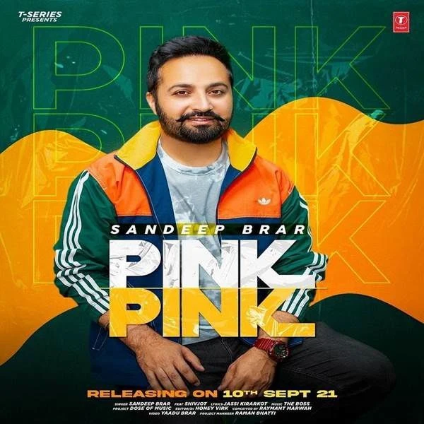Pink Pink Sandeep Brar mp3 song download, Pink Pink Sandeep Brar full album mp3 song