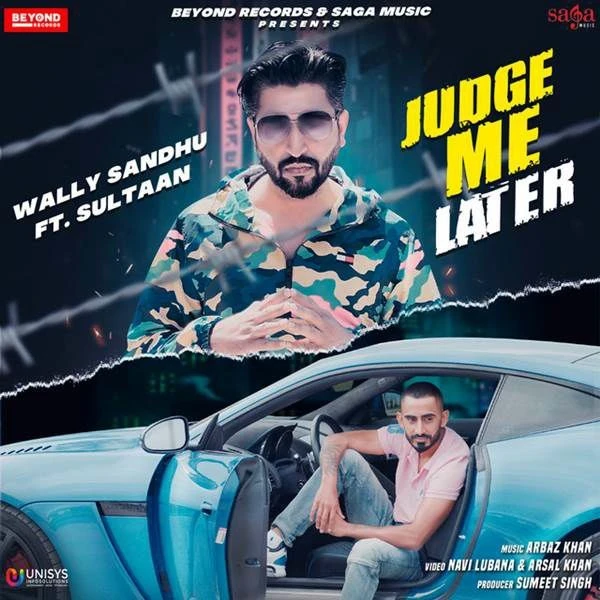 Judge Me Later Sultaan, Wally Sandhu mp3 song download, Judge Me Later Sultaan, Wally Sandhu full album mp3 song