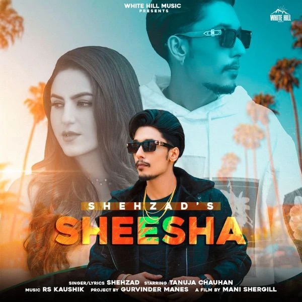 Sheesha Shehzad mp3 song download, Sheesha Shehzad full album mp3 song