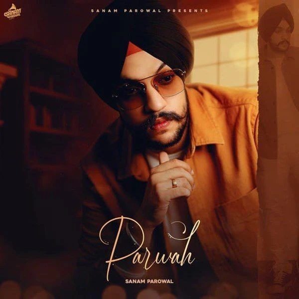Parwah Sanam Parowal mp3 song download, Parwah Sanam Parowal full album mp3 song