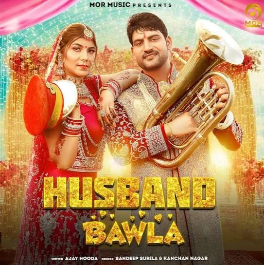 Husband Bawla Sandeep Surila mp3 song download, Husband Bawla Sandeep Surila full album mp3 song