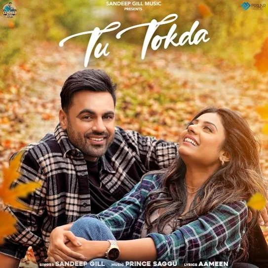 Tu Tokda Sandeep Gill mp3 song download, Tu Tokda Sandeep Gill full album mp3 song