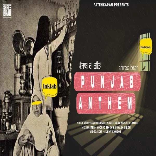 Punjab Anthem Shree Brar mp3 song download, Punjab Anthem Shree Brar full album mp3 song