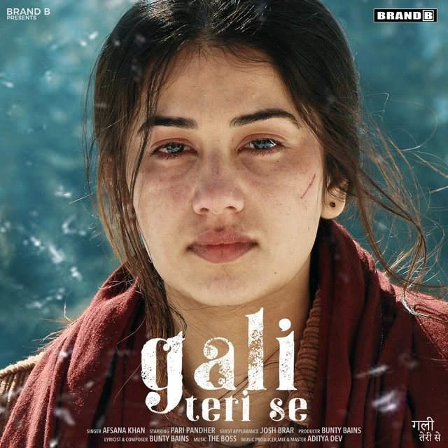 Gali Teri Se Afsana Khan mp3 song download, Gali Teri Se Afsana Khan full album mp3 song