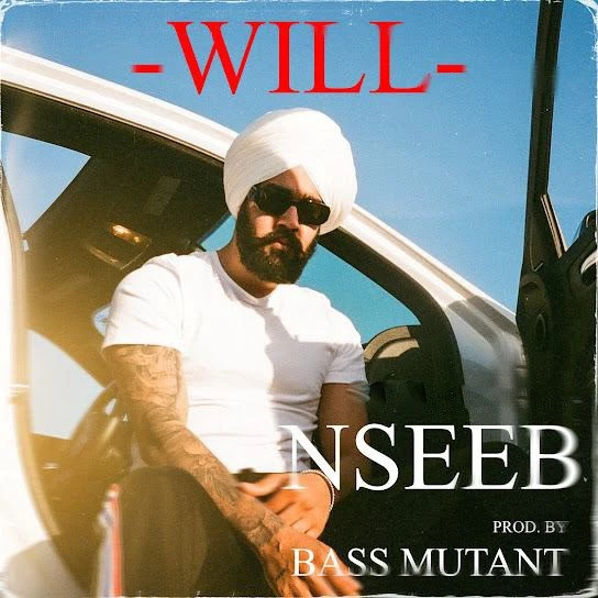 Will Nseeb mp3 song download, Will Nseeb full album mp3 song