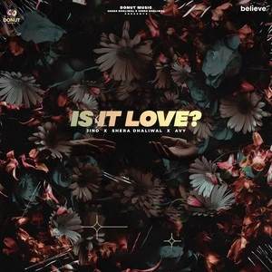 Is It Love Jind mp3 song download, Is It Love Jind full album mp3 song