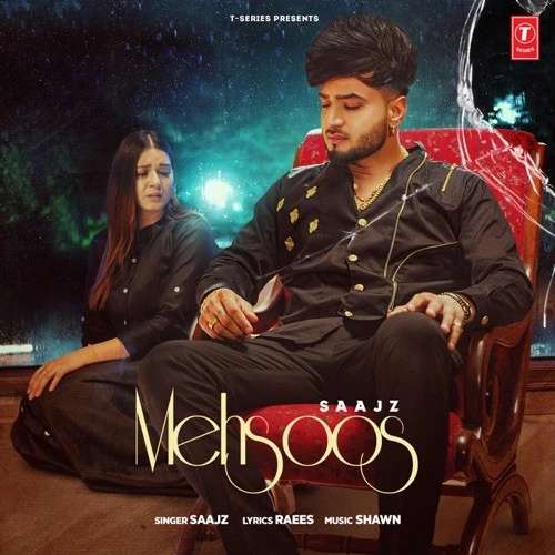 Mehsoos Saajz mp3 song download, Mehsoos Saajz full album mp3 song