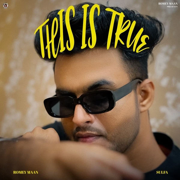 This Is True Romey Maan mp3 song download, This Is True Romey Maan full album mp3 song