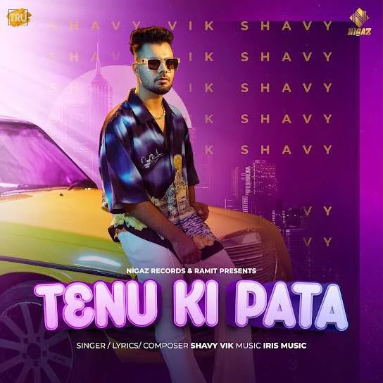 Tenu Ki Pata Shavy Vik mp3 song download, Tenu Ki Pata Shavy Vik full album mp3 song
