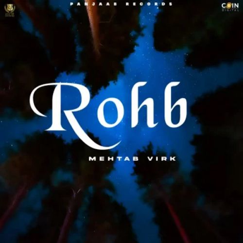 Rohb Mehtab Virk mp3 song download, Rohb Mehtab Virk full album mp3 song