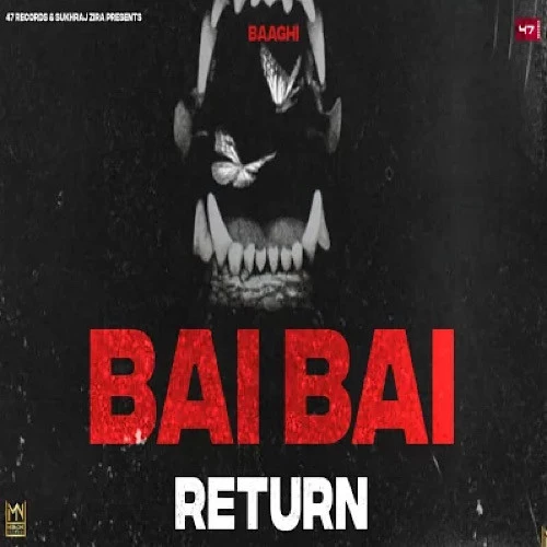 Bai Bai Return Baaghi mp3 song download, Bai Bai Return Baaghi full album mp3 song