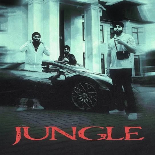 Jungle Inderpal Moga, Chani Nattan mp3 song download, Jungle Inderpal Moga, Chani Nattan full album mp3 song