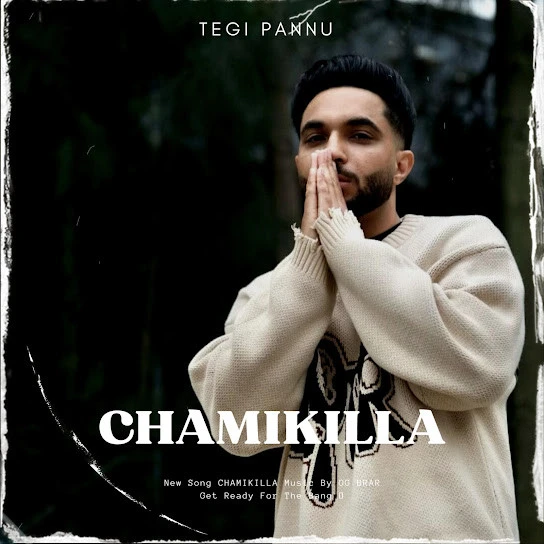 Chamikilla Tegi Pannu mp3 song download, Chamikilla Tegi Pannu full album mp3 song