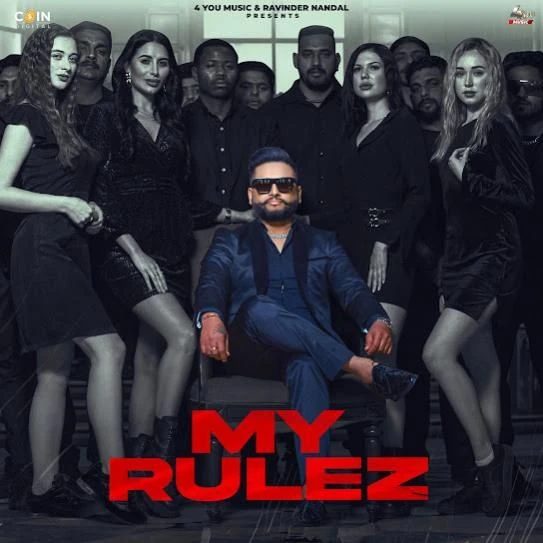 My Rulez DJ Flow mp3 song download, My Rulez DJ Flow full album mp3 song