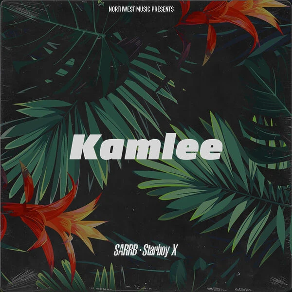 Kamlee SARRB mp3 song download, Kamlee SARRB full album mp3 song
