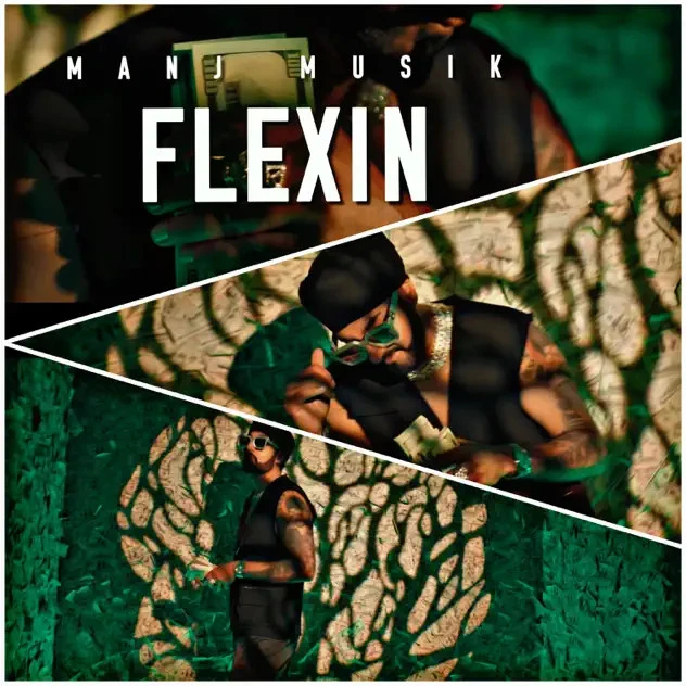 Flexin Manj Musik mp3 song download, Flexin Manj Musik full album mp3 song