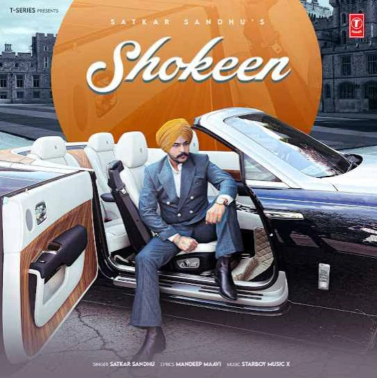 Shokeen Satkar Sandhu mp3 song download, Shokeen Satkar Sandhu full album mp3 song