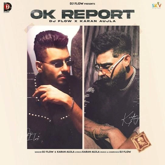 Ok Report DJ Flow mp3 song download, Ok Report DJ Flow full album mp3 song