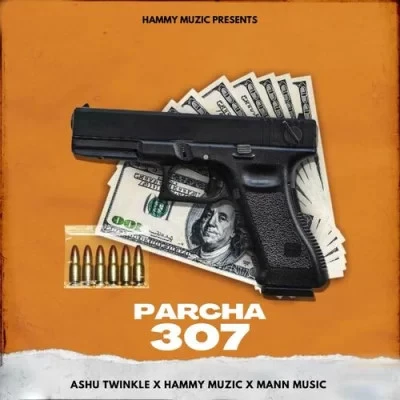 Parcha 307 Hammy Muzic, Ashu Twinkle mp3 song download, Parcha 307 Hammy Muzic, Ashu Twinkle full album mp3 song