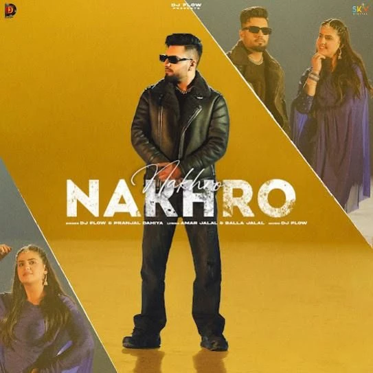 Nakhro DJ Flow mp3 song download, Nakhro DJ Flow full album mp3 song