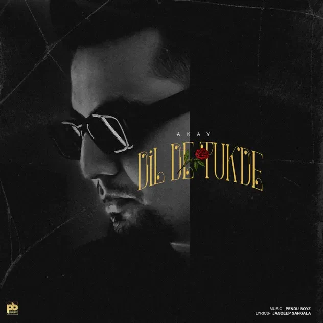 Dil De Tukde A Kay mp3 song download, Dil De Tukde A Kay full album mp3 song