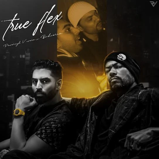 True Flex Parmish Verma mp3 song download, True Flex Parmish Verma full album mp3 song