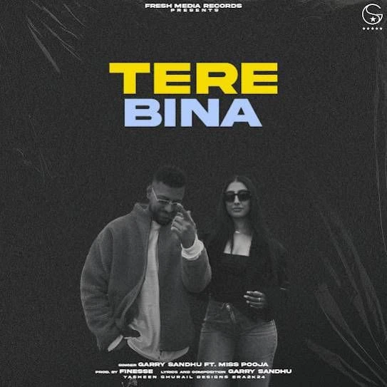 Tere Bina Garry Sandhu mp3 song download, Tere Bina Garry Sandhu full album mp3 song